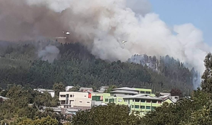 Incendio forestal en Penco amenaza cerca de 30 viviendas: Declaran Alerta Roja