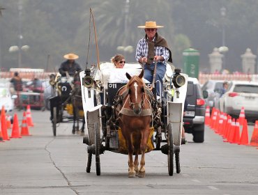 Tradicionales coches victoria saldrán definitivamente de las calles de Viña del Mar