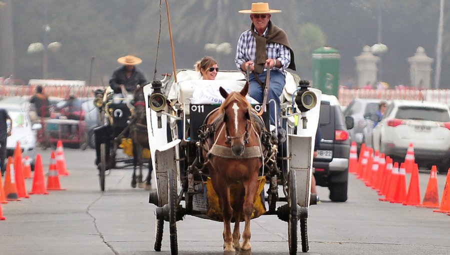 Tradicionales coches victoria saldrán definitivamente de las calles de Viña del Mar