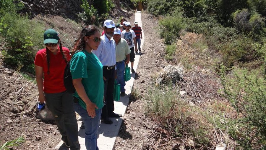 Conaf inició trabajo con vecinos para prevenir incendios forestales en cerro El Llano de Putaendo