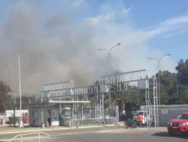 Bomberos y Conaf controlaron incendio que afectó a terrenos del campo deportivo de ENAP en Concón