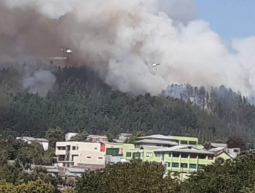 Incendio forestal en Penco amenaza cerca de 30 viviendas: Declaran Alerta Roja