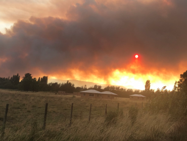 57 damnificados deja incendio forestal que ha consumido 120 hectáreas en Renaico