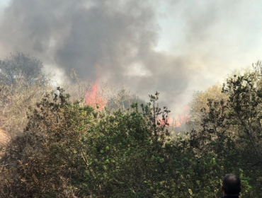 Incendio forestal declarado afecta por segundo día consecutivo a dependencias de ENAP en Concón