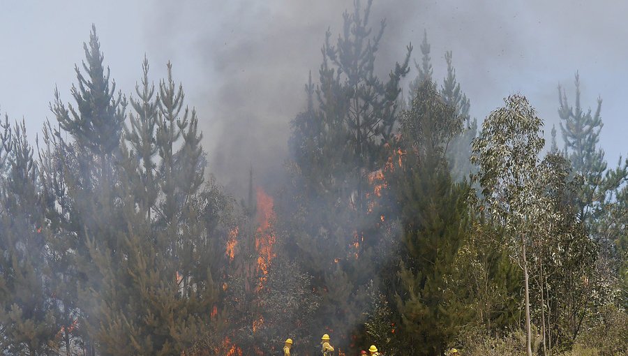 Declaran Alerta Temprana para la región de Valparaíso por amenaza de incendio forestal