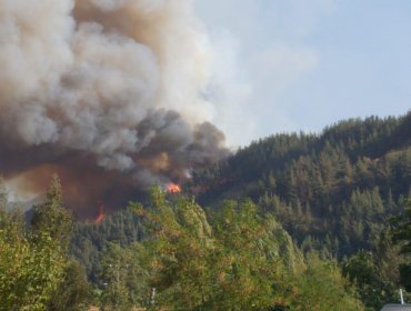 Evacúan localidad de Callejón Ortúzar en Romeral por incendio que ha consumido 1.400 hectáreas