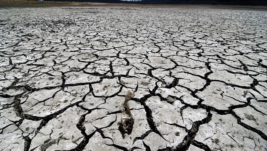 Declaran emergencia agrícola para ocho comunas de la región de Ñuble por escasez hídrica