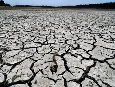 Declaran emergencia agrícola para ocho comunas de la región de Ñuble por escasez hídrica