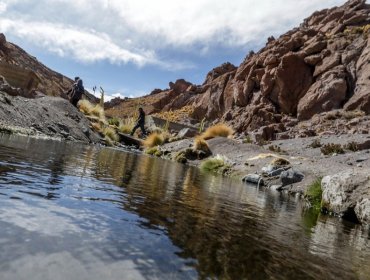 Bolivia afirmó que entrega a Chile de aguas del Silala será previo acuerdo y con una compensación