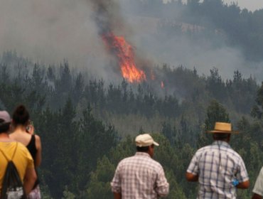 Declaran Alerta Amarilla en toda la región de Ñuble por al menos cuatro incendios forestales