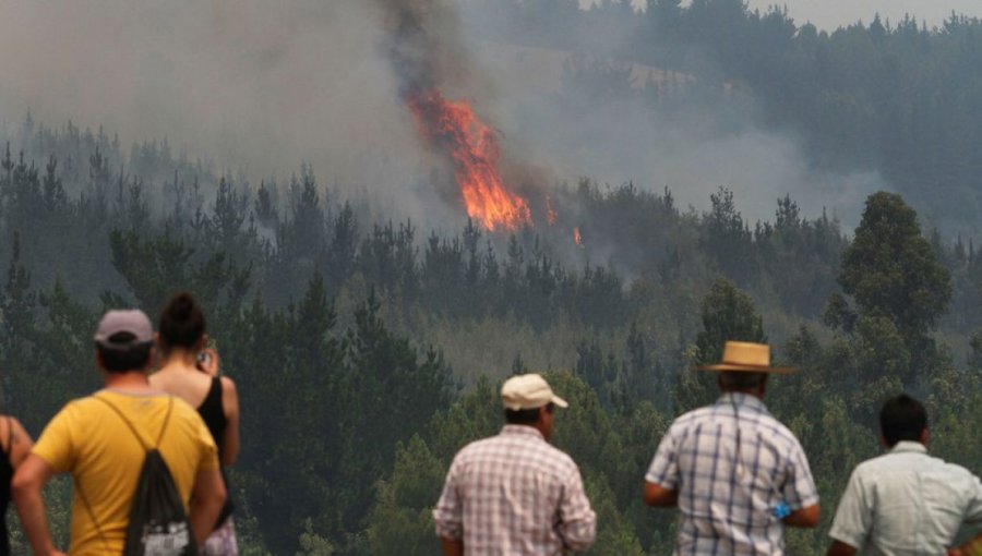 Declaran Alerta Amarilla en toda la región de Ñuble por al menos cuatro incendios forestales