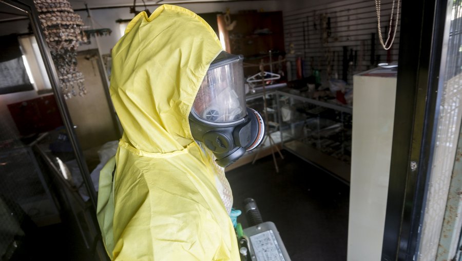 Primer caso de virus Hanta se confirma en la Región de La Araucanía