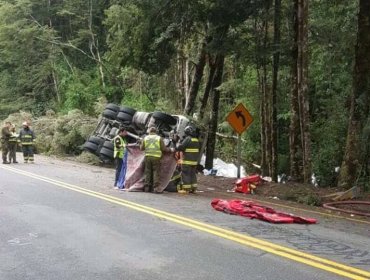 Padre e hija murieron al volcar camión en que transportaban salmones en Puyehue