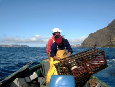 Coronavirus chino paraliza el 95% de las langostas que Juan Fernández exportaba