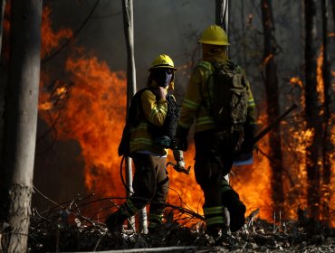 Incendio forestal Molina: Anuncian evacuación preventiva para sector Siete Tazas