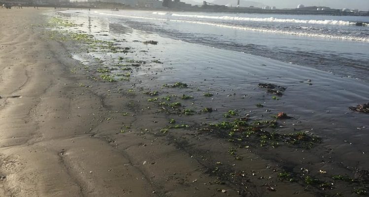 Puchuncaví: Este domingo se registra nuevo varamiento de carbón en playa de Ventanas