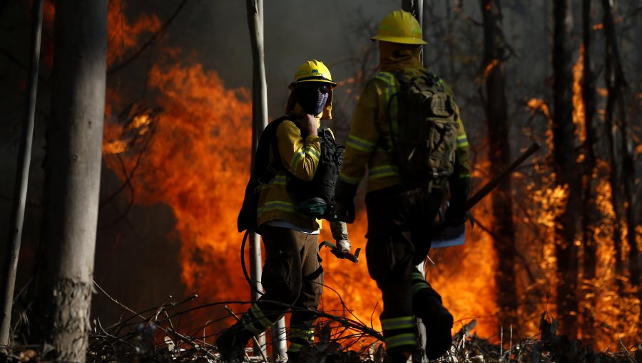 Incendio forestal Molina: Anuncian evacuación preventiva para sector Siete Tazas