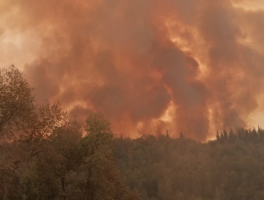 Fiscalía investiga si existe intencionalidad en incendio que ha consumido 5 mil hectáreas en Molina