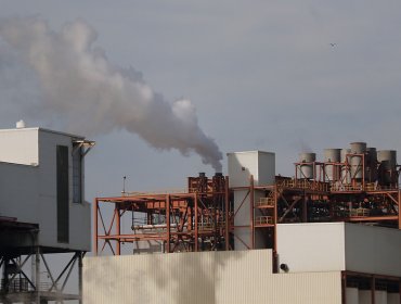 Estudio científico confirma riesgo cancerígeno en niños de Quintero y Puchuncaví por contaminantes