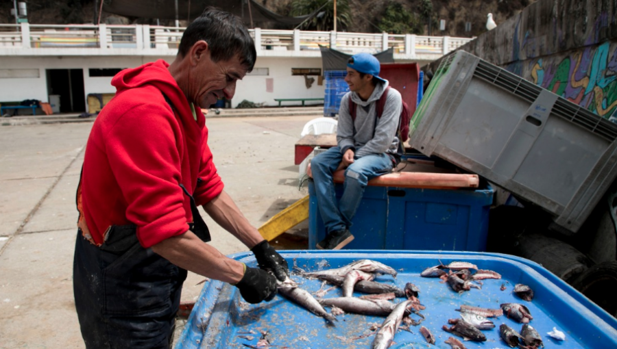 Tradicional "Fogata del Turista" regresa a la caleta El Membrillo de Valparaíso