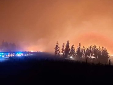 Declaran Alerta Roja para la comuna de Los Ángeles por incendio forestal que amenaza sectores poblados