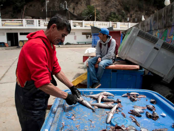 Tradicional Fogata Del Turista Regresa A La Caleta El Membrillo De