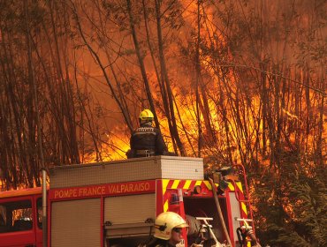 Regiones de Valparaíso, Biobío y Araucanía lideran aumento de incendios intencionales esta temporada