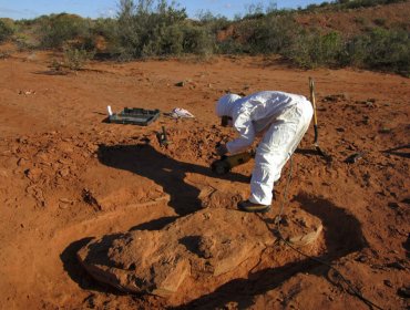 Alemania: Descubren dinosaurios de 240 millones de años de antigüedad