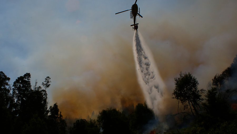 Declaran Alerta Amarilla para la comuna de Quilleco por incendio forestal cercano a centro poblados