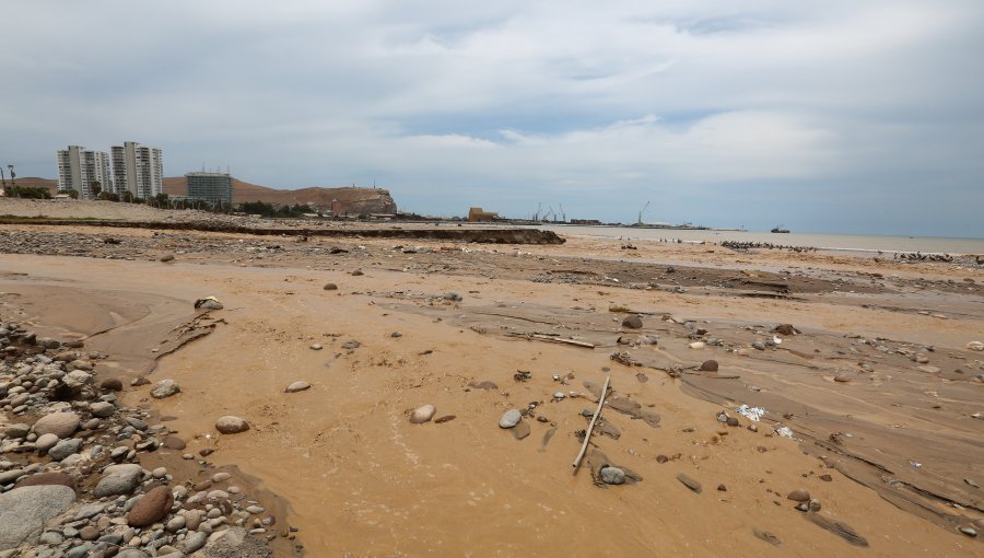 Más de 60 evacuados de manera preventiva en Arica por lluvias estivales