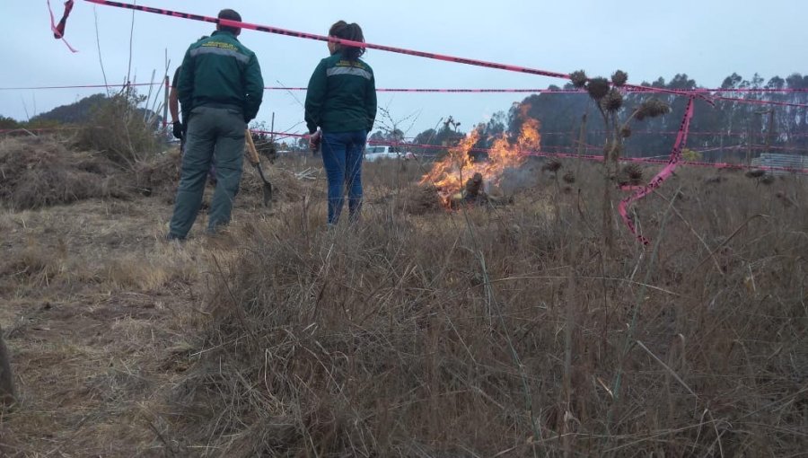 Conaf paralizó 10 quemas ilegales de desechos forestales y domiciliarios en San Antonio