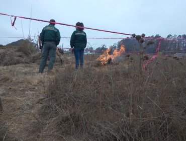 Conaf paralizó 10 quemas ilegales de desechos forestales y domiciliarios en San Antonio