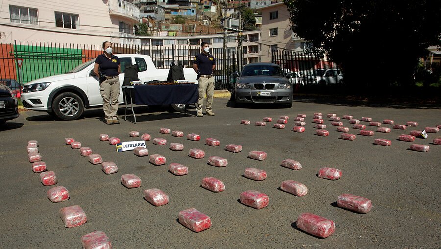 Operación “Perseo”: Cae banda que pretendía comercializar droga durante el Festival de Viña