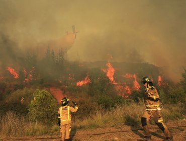 Alerta roja en Temuco por incendio que amenaza al Cerro Ñielol