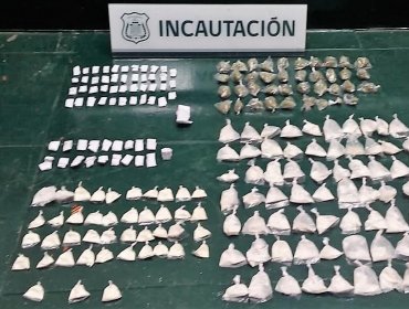 Ejemplares caninos de la cárcel de Valparaíso dan certero golpe al microtráfico interno