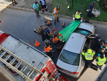 Mujer de 85 años fallece tras sufrir paro cardíaco y chocar su auto contra palmera en Viña del Mar