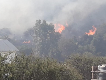 Hectáreas consumidas por incendios forestales bajaron de 509 a 80 en la provincia de Marga Marga