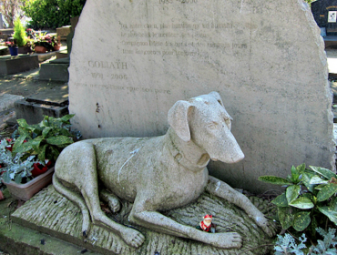 Municipio de La Cruz entrega terrenos donde se construirá el primer cementerio de mascotas