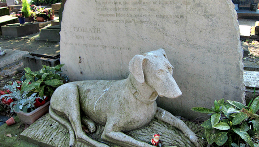 Municipio de La Cruz entrega terrenos donde se construirá el primer cementerio de mascotas