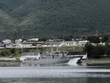 Captan a orcas cazando ballenas en Puerto Williams: personal de la Armada debió intervenir