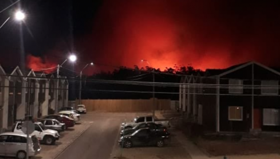 Constitución en Alerta Roja por incendio forestal cercano a zona habitada