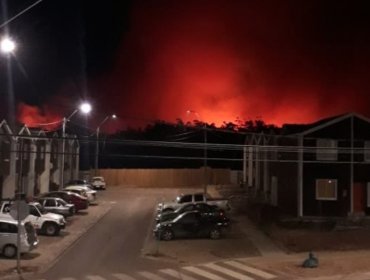 Constitución en Alerta Roja por incendio forestal cercano a zona habitada