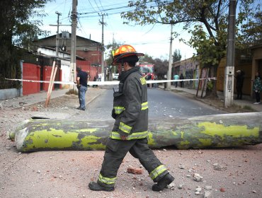 Siete trabajadores quedaron con lesiones graves tras explosión en empresa de La Cisterna