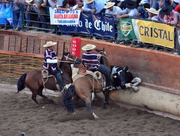 Federación de Rodeo suspendió el "Champion" por el coronavirus