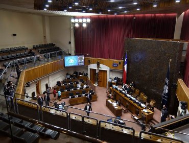 Cámara de Diputados rechaza idea de legislar sistema "telemático" de votación para parlamentarios