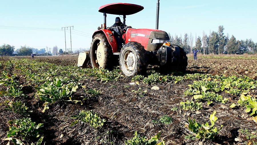 Prórroga automática de créditos Indap beneficiará a 23 mil pequeños agricultores del país