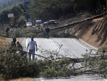 Habitantes de Vichuquen bloquean rutas por la llegada de turistas