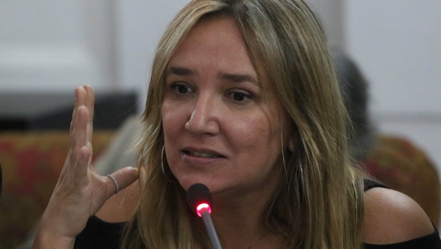Diputada Hoffmann critica a la oposición por rechazo a proyecto de protección al empleo