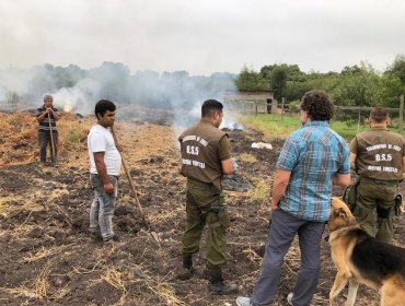 Conaf extiende hasta el 30 de abril la prohibición de ejecutar quemas agrícolas y forestales en la región de Valparaíso