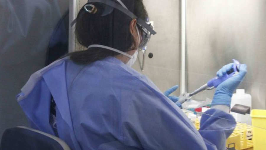 A 3.031 aumentó el número de contagiados con coronavirus en Chile: 293 son casos nuevos